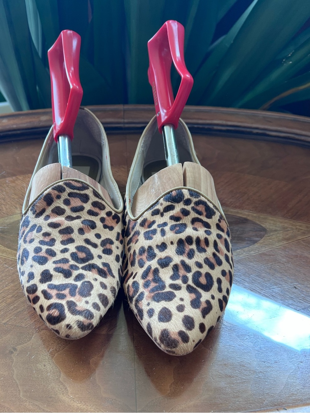 Dolce vita Leopard flats EUC 8.5M
